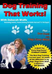 Camp Good Dog DVD Wrap